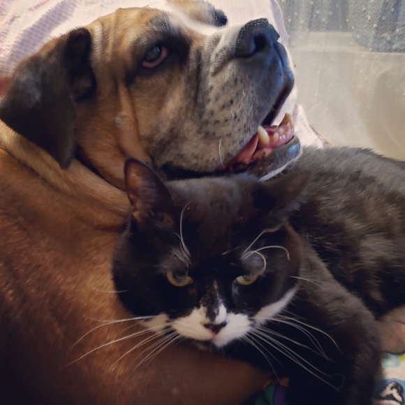 Meet your Posher, Cherie - Picture 1 of 1